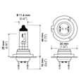 H7 Halogen Series Headlight Bulb, (12V 55W)