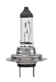 2009 Volvo S40 - Light Bulb - Halogen, Direct Fit, Sold Individually