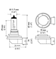 H8 Light Bulb - Halogen, Sold individually