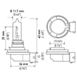 H9 Headlight Bulb, Sold Individually