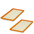 E1249L-2 OE Replacement Air Filter