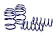 28747-1 Front and Rear Lowering Springs - Set of 4