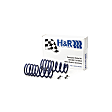2016 BMW X5 - Front and Rear Lowering Springs, Sport Utility, AWD, With Self-Leveling, Set of 4