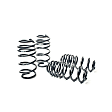 29162-4 Sport Series Front and Rear Lowering Springs - Set of 4