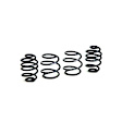 50421 Sport Series Front and Rear Lowering Springs - Set of 4