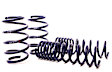 51603-2 Front and Rear Lowering Springs - Set of 4