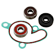 WPK0046 Direct Fit Water Pump Repair Kit