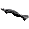 Front, Passenger Side, Front Section Fender Liner, 6 Cyl., 3.5L Engine, Sedan