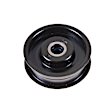 FP05391 Accessory Belt Idler Assembly
