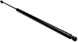 Driver or Passenger Side Liftgate Lift Support