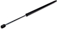 Driver or Passenger Side Liftgate Lift Support