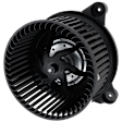 Blower Motor