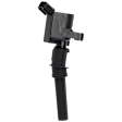 Ignition Coil, 8 Cyl., 4.6/5.4L Engines, With Curve Coil Boot