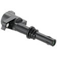 Ignition Coil, 8 Cyl., 4.6L Engine