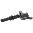 Ignition Coil, 8 Cyl., 4.6L Engine