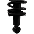 Rear, Passenger Side Fully Loaded Strut