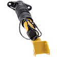 Rear, Driver Side Shock