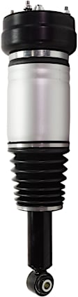 Air Strut - Rear, Driver or Passenger Side, With Air Spring
