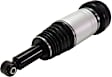 Air Strut - Rear, Driver or Passenger Side, With Air Spring