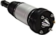 Air Strut - Rear, Driver or Passenger Side, With Air Spring