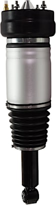 Air Strut - Rear, Driver or Passenger Side, With Air Spring