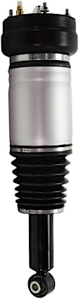 Air Strut - Rear, Driver or Passenger Side, With Air Spring
