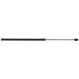 Passenger Side Liftgate Lift Support, 2.5L, 4Cyl, Sold Individually