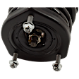 Rear, Passenger Side Fully Loaded Strut