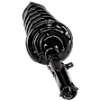 Fully Loaded Strut - Rear, Driver Side