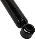 Rear, Driver or Passenger Side Fully Loaded Strut
