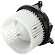 Blower Motor