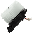 Blower Motor