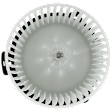Blower Motor