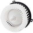 Blower Motor