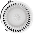Blower Motor