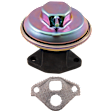 EGR Valve, 4.3L, 6Cyl