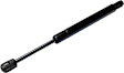 Driver or Passenger Side Trunk Lid Lift Support, Coupe, Sold Individually
