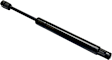 Driver or Passenger Side Trunk Lid Lift Support, Coupe, Sold Individually