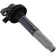 Ignition Coil, 8 Cyl., 5.0L Engine
