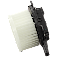 Blower Motor