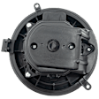 Blower Motor
