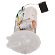 Fuel Pump, With Fuel Sending Unit, 2.5L/3.5L Engines, Sedan