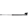 Rear, Passenger Side Liftgate Lift Support, Sport Utility 1.6L, 4Cyl, Sold Individually