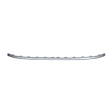 Front, Center Bumper Trim, Silver