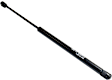 Driver or Passenger Side Trunk Lid Lift Support, Sport Utility, Sold Individually