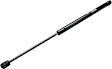 Driver or Passenger Side Trunk Lid Lift Support, Sport Utility, Sold Individually