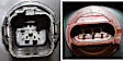 2006 Ford Focus - 3-Piece Kit Driver and Passenger Side Halogen Headlight, With bulb(s), For Models Without Appearance Package, OE Replacement,  Includes (1) Bumper Cover and (2) Headlight