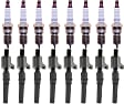16-Piece Kit Ignition Coil with Spark Plugs, 8 Cylinder, 4.6L/5.4L Engine, Includes (8) Ignition Coil and (8) Spark Plug