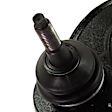 9-Piece Kit Front, Driver and Passenger Side, Upper and Lower Control Arm, Rear Wheel Drive, R Series, For Models With Front Coil Spring, includes Axle Assembly, Brake Discs, and Brake Pad Set