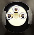 4-Piece Kit Driver and Passenger Side Halogen Headlight, With bulb(s), OE Replacement, Includes (2) Corner Light and (2) Headlight